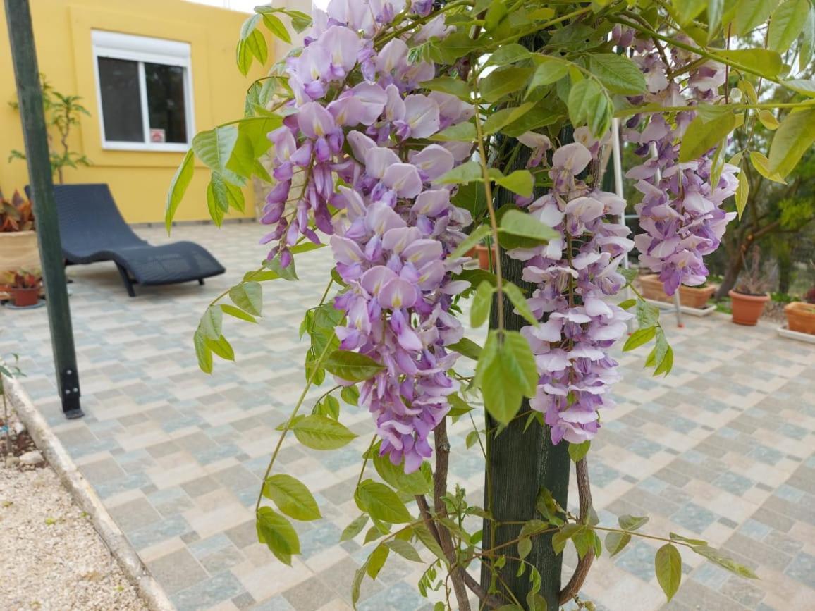 Grieks Vakantiehuis To Kalokairi Kougaíika Exterior photo